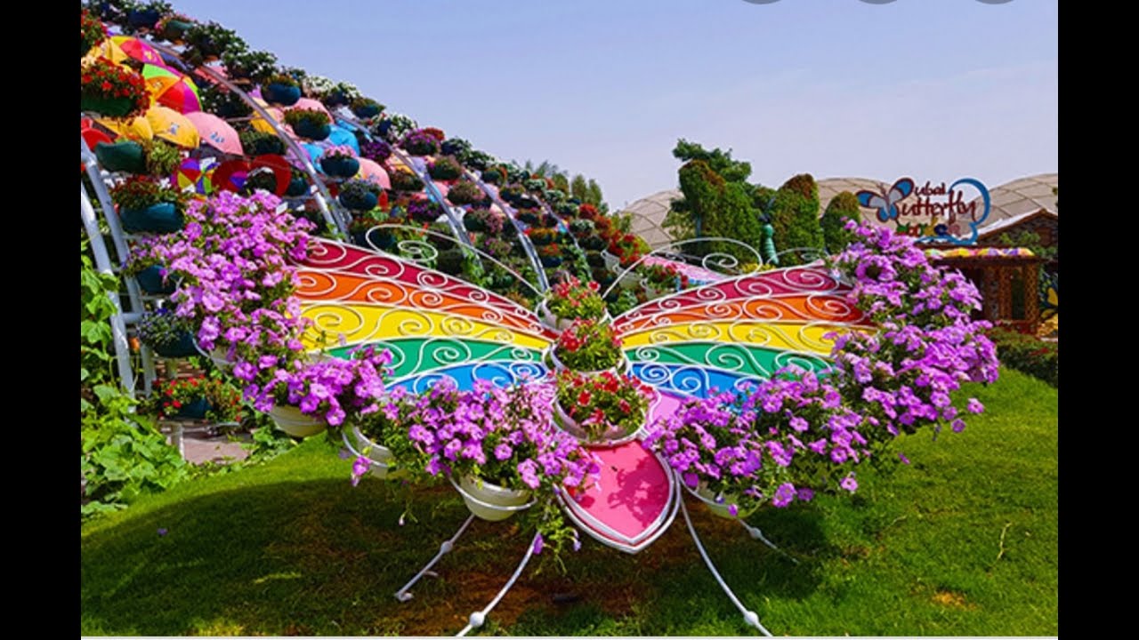 Butterfly Garden Dubai